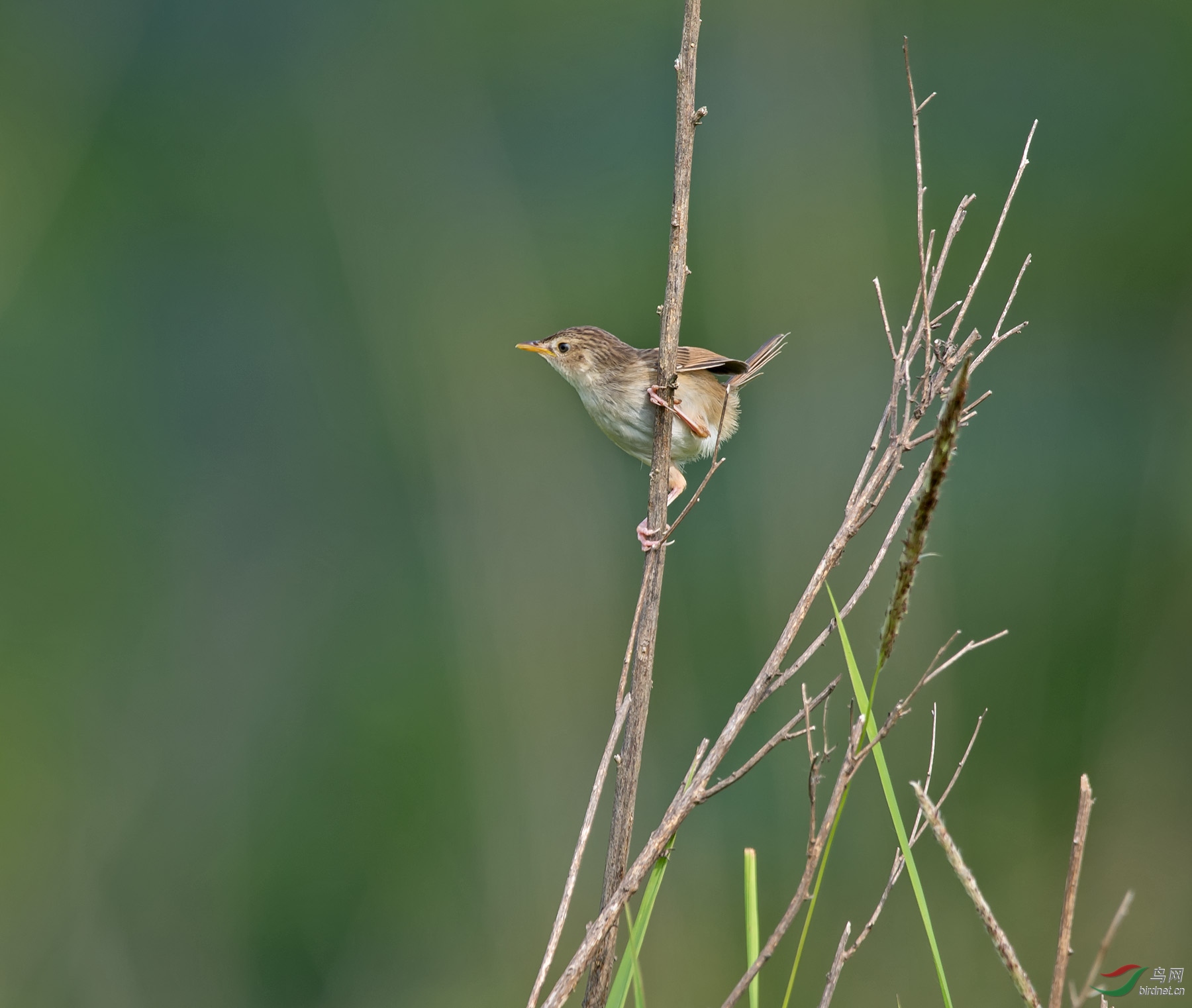 DSC_8369.jpg