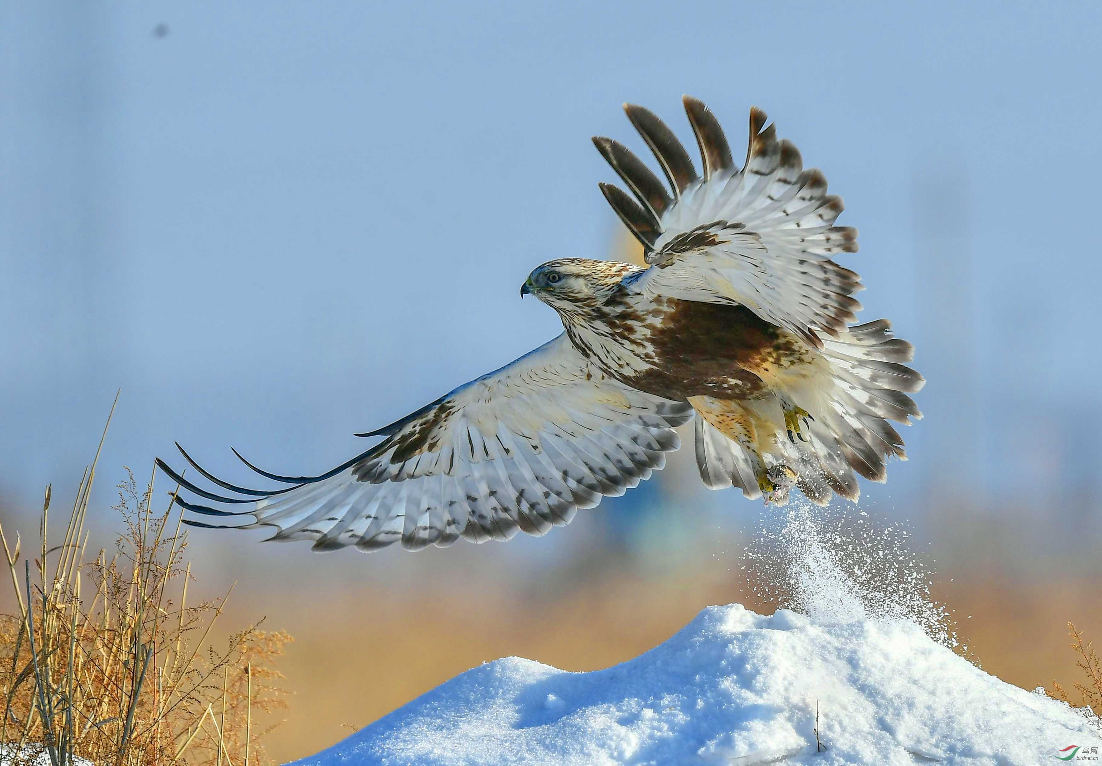 mmexport1579750777516.jpg