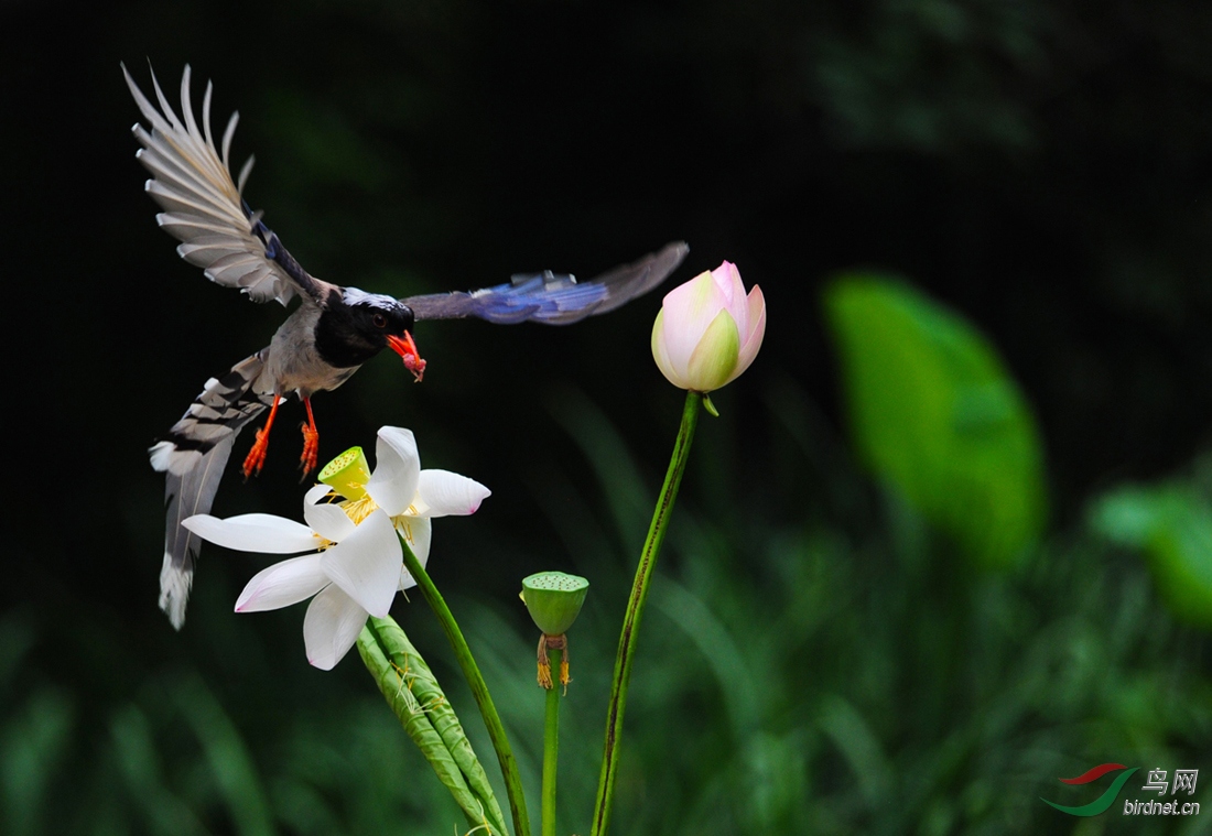 1037796703.jpg
