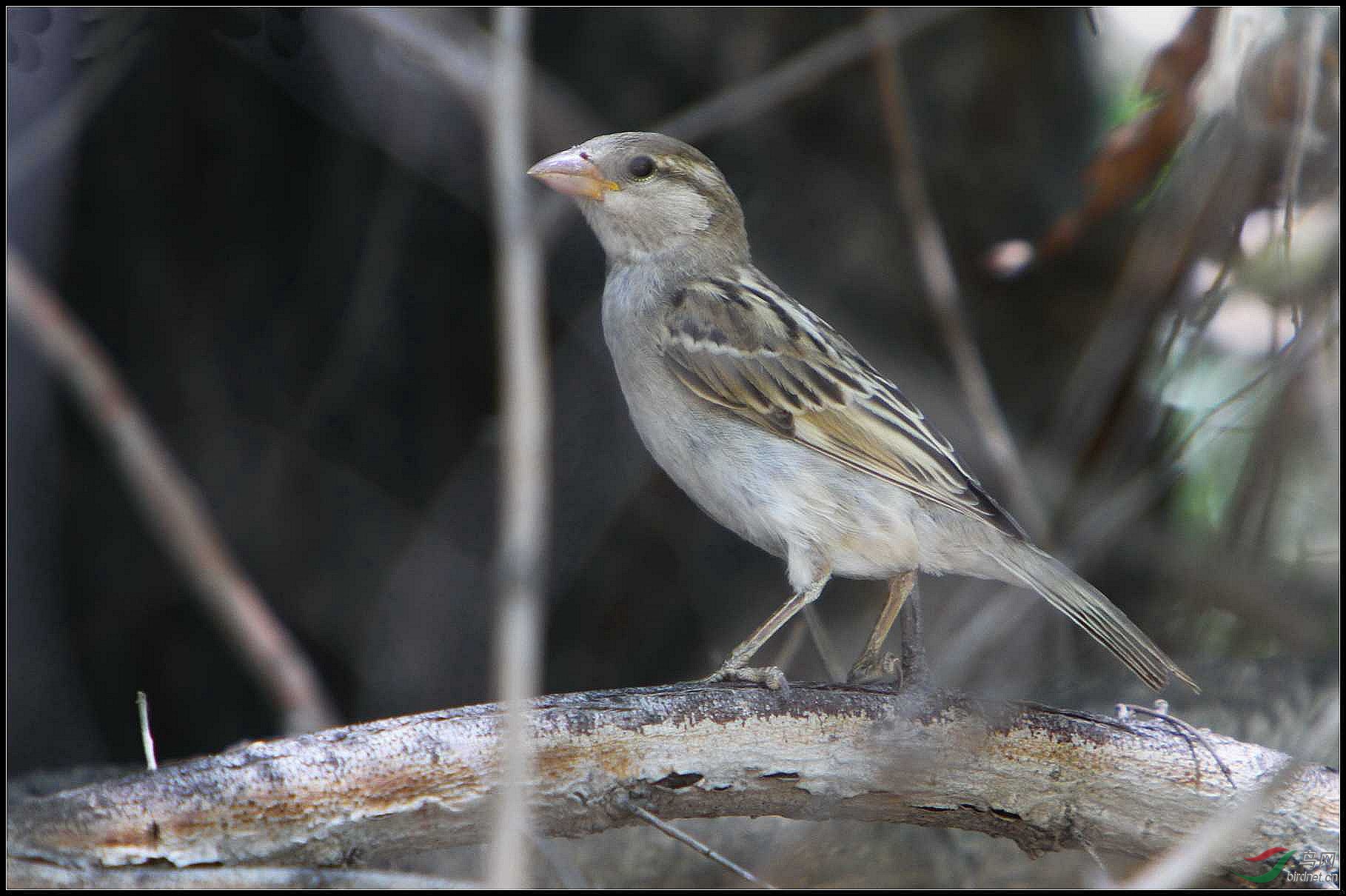 11-07-19 IMG_564901.jpg