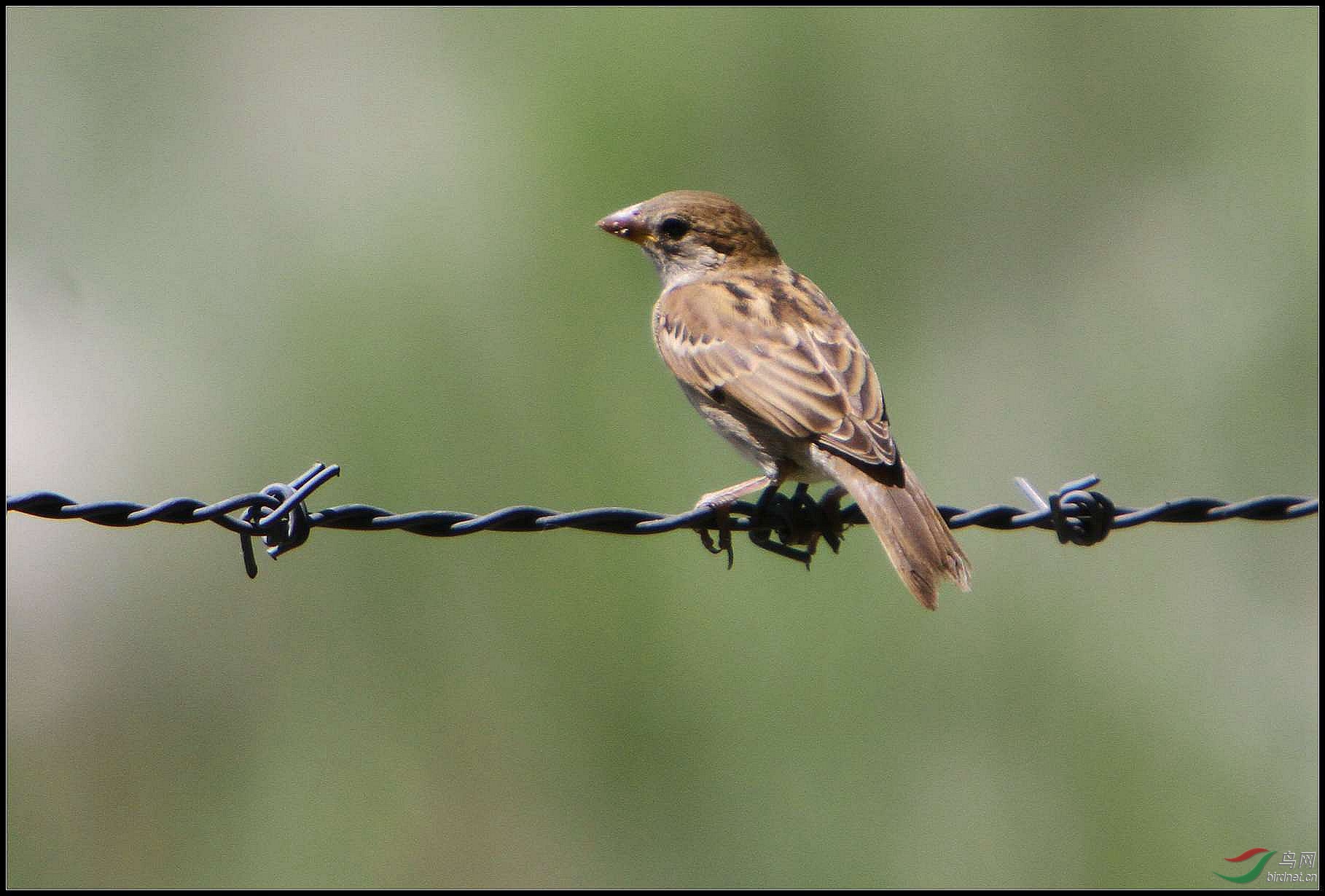 11-07-19 IMG_569605.jpg