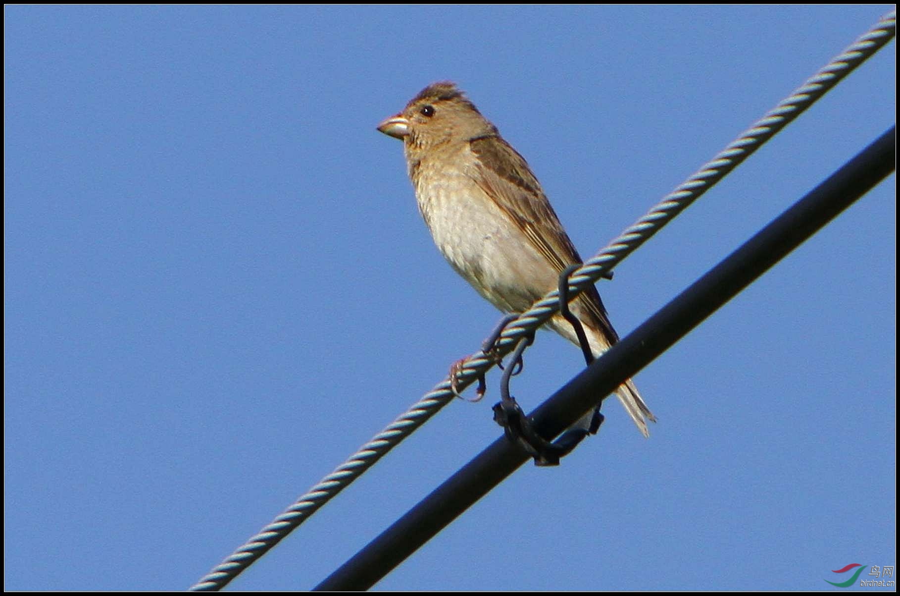 11-07-24 IMG_999421.jpg