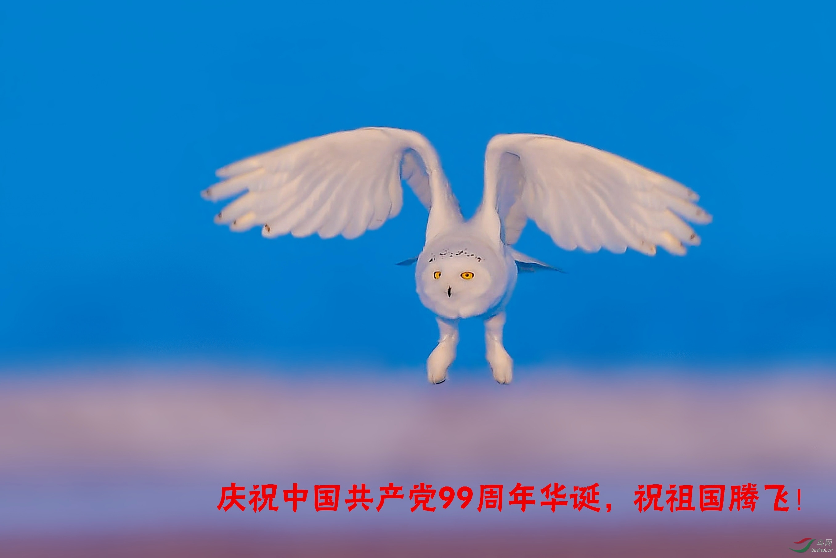 DSC_6135-��.jpg