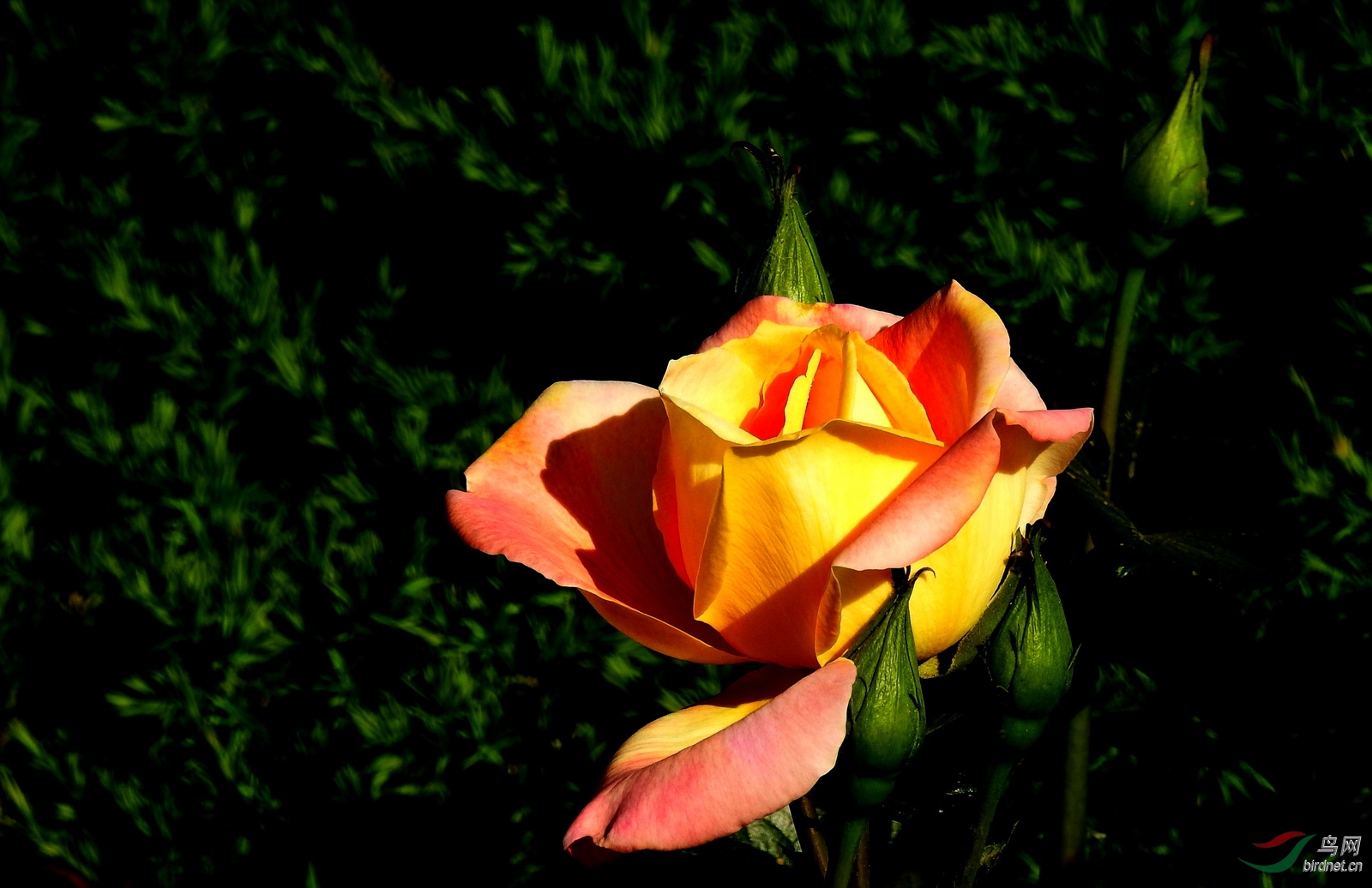 DSCN2320.JPG