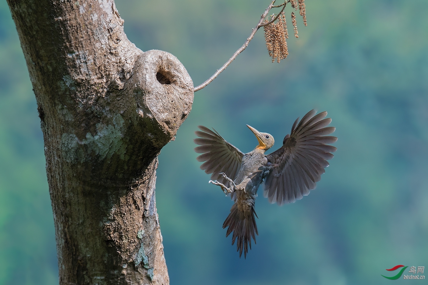 ��СҶ ��ʦ����������ʡ�º���徰���������� .jpg