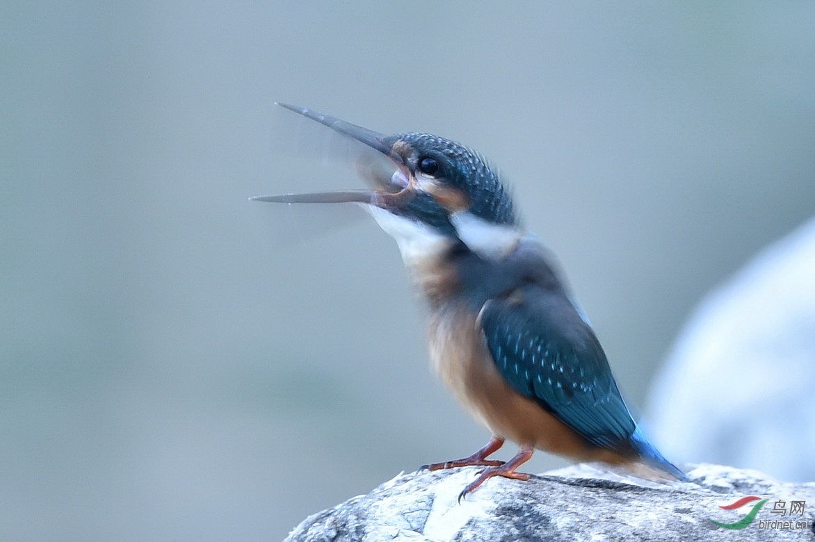 DSC_6924.JPG