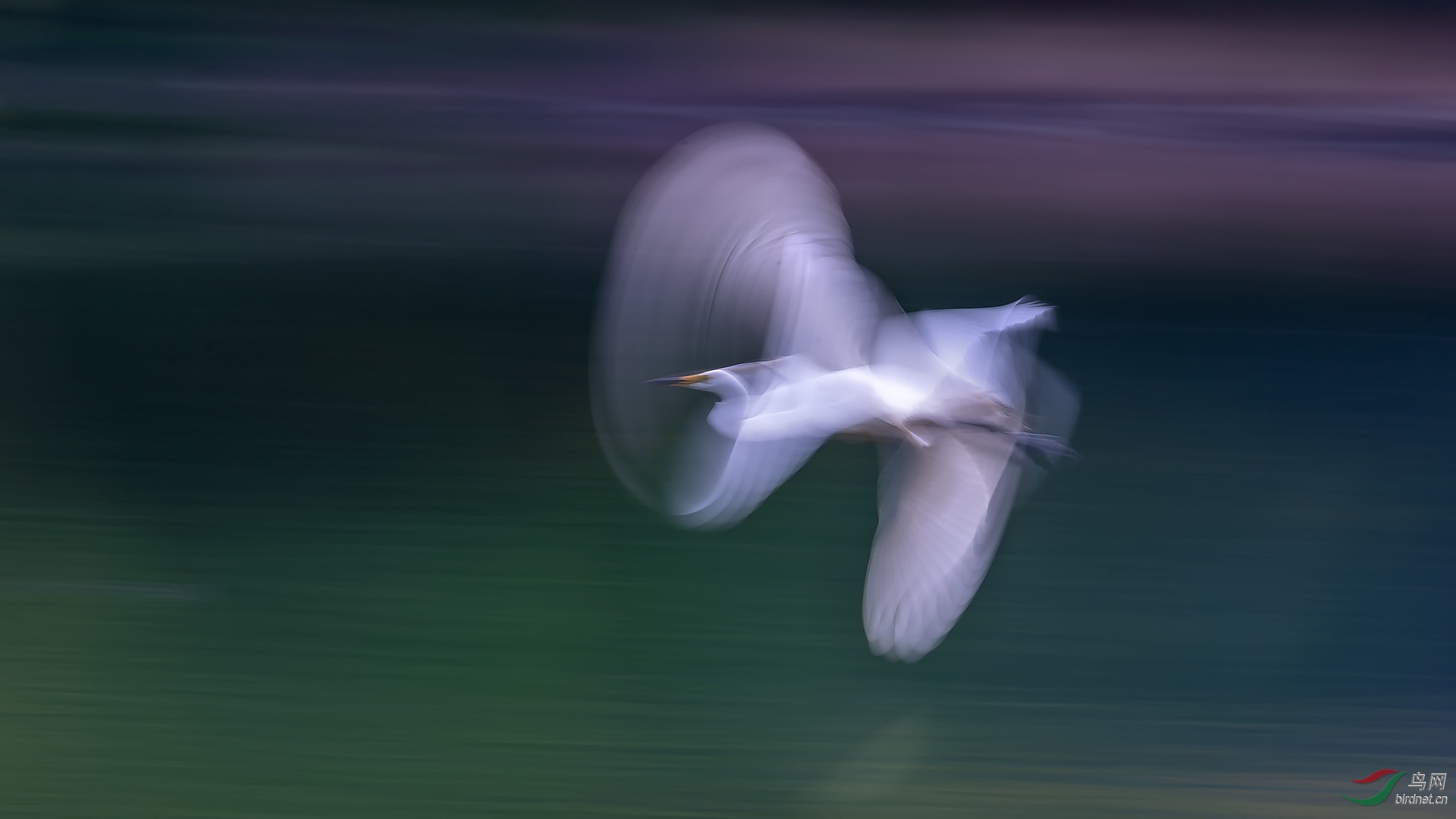 _CGS4582.jpg
