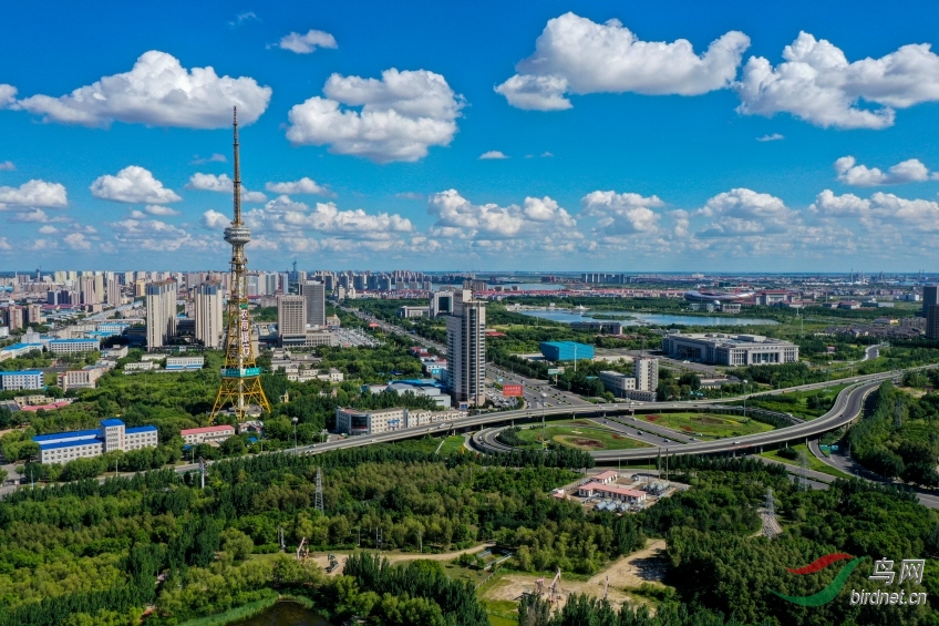 DJI_0117����_conew1.jpg