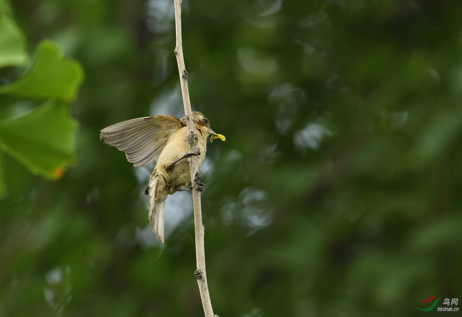 _DSC3037_00001-p-2.jpg