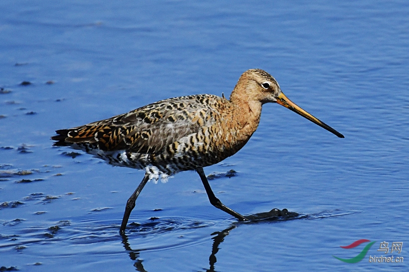 _DSC 4999 ���� 2.jpg