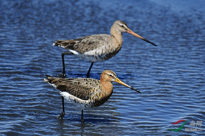 _DSC 5019 ���� 2.jpg