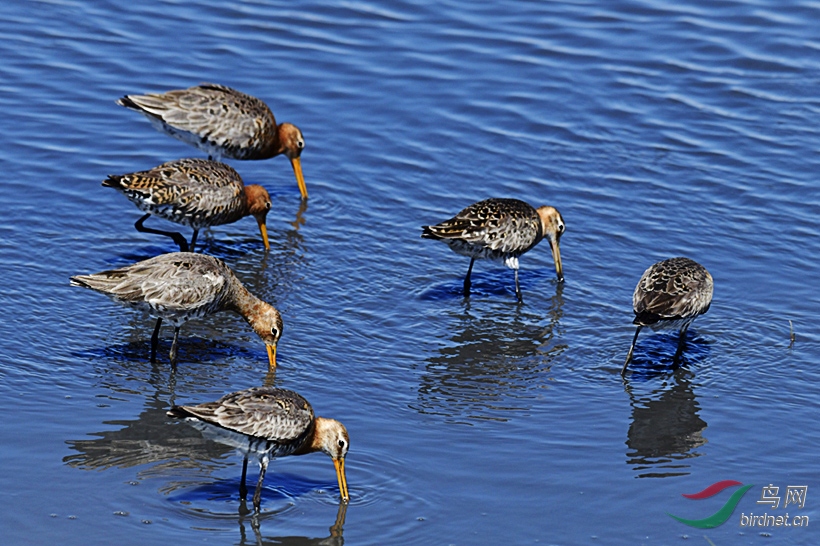 _DSC 5029 ���� 3.jpg