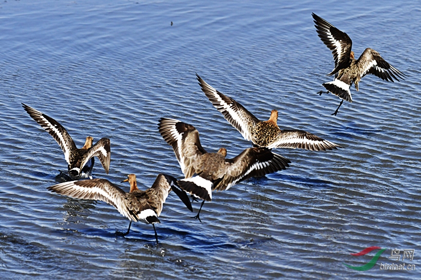 _DSC 5047 ���� 2.jpg