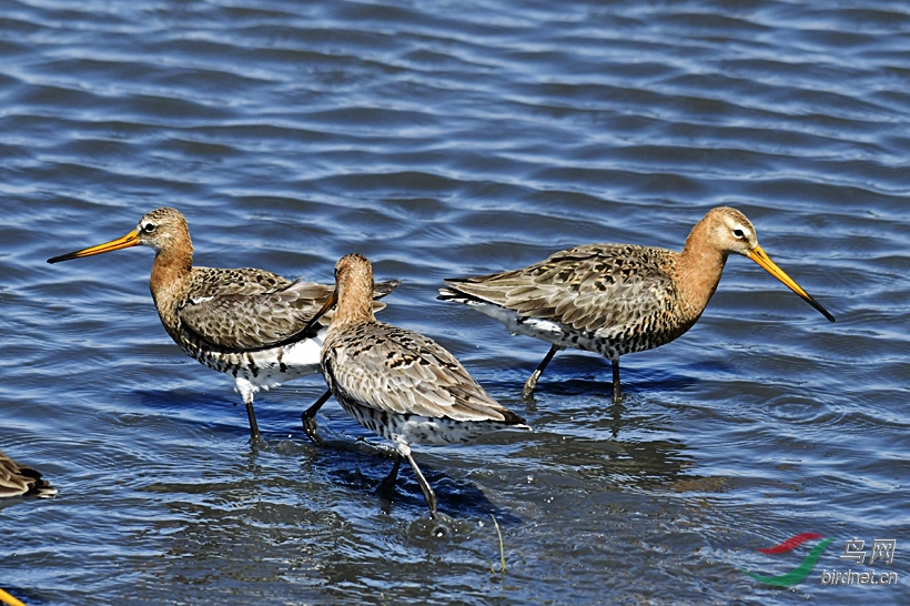 _DSC 5015 ���� 2.jpg