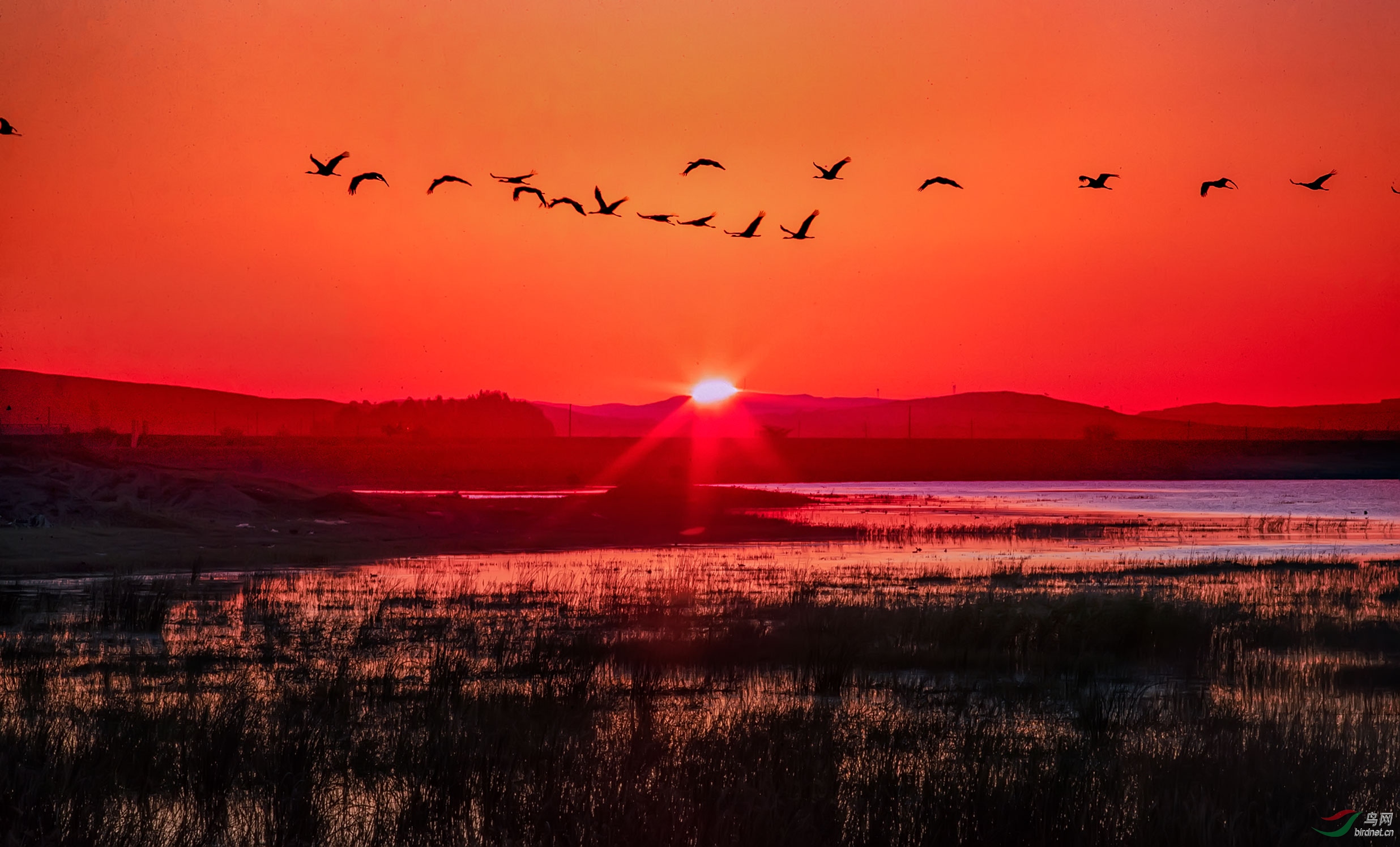 日出(祝贺能干老师荣获首页综合精华)