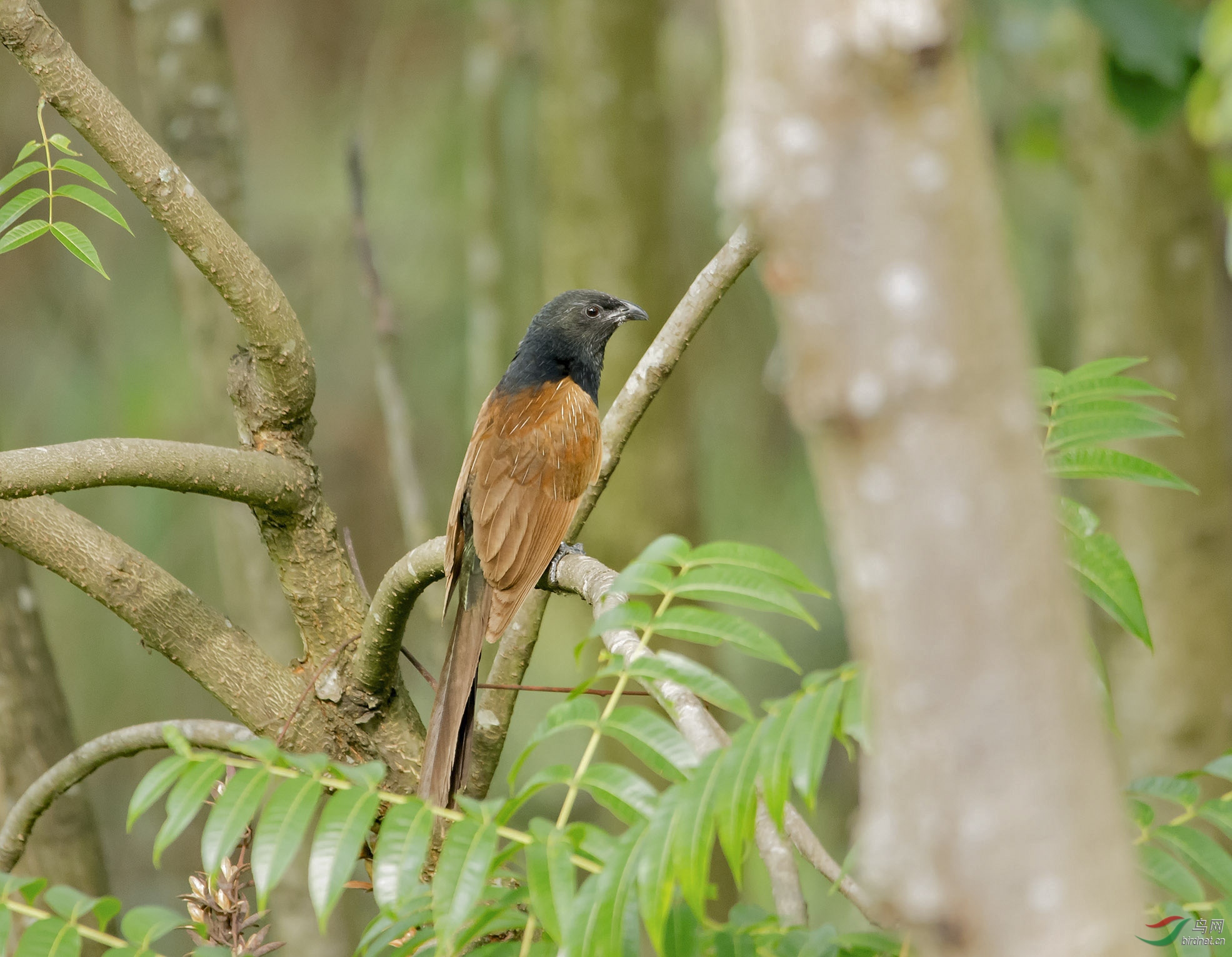 20������