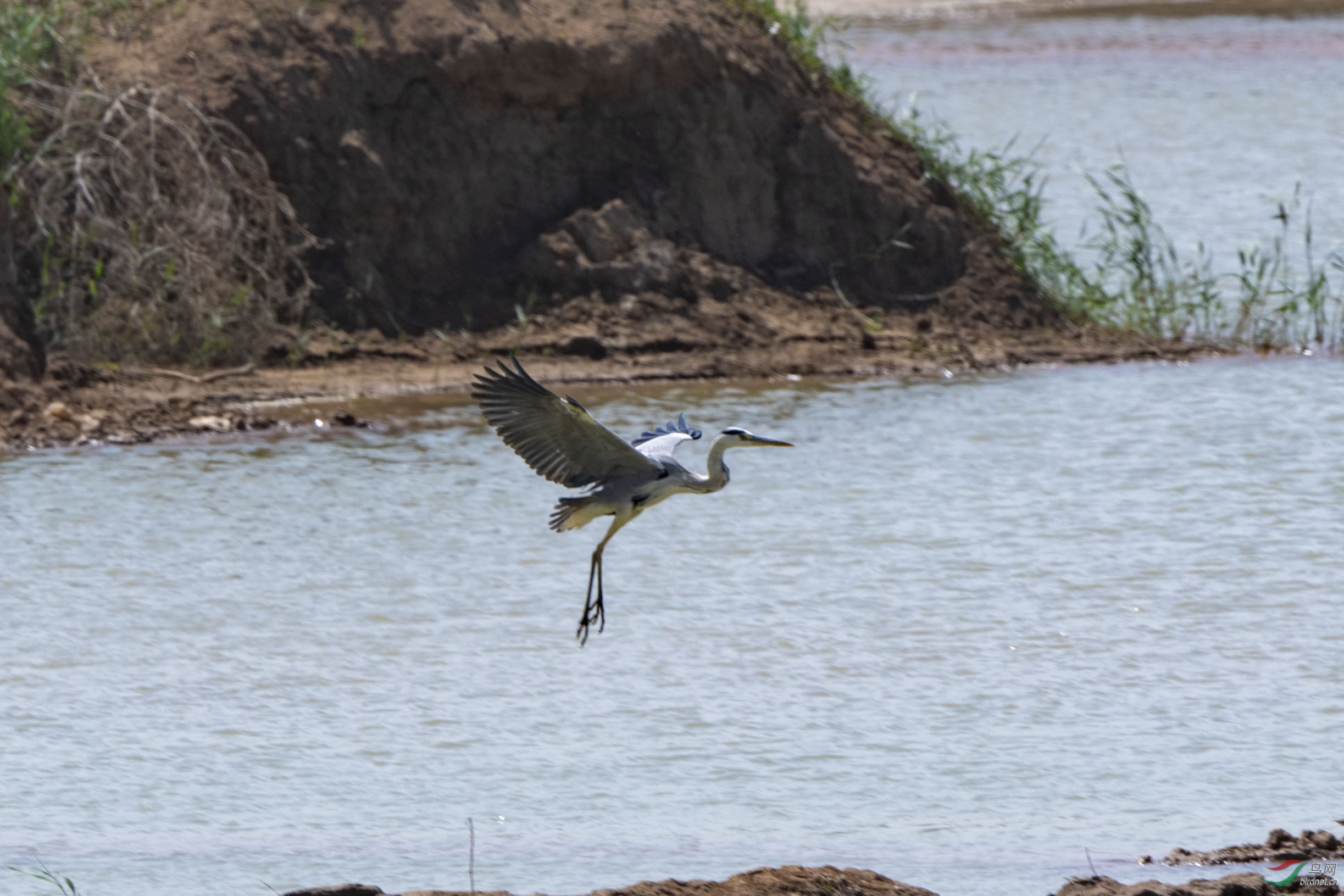 D50_6297.jpg