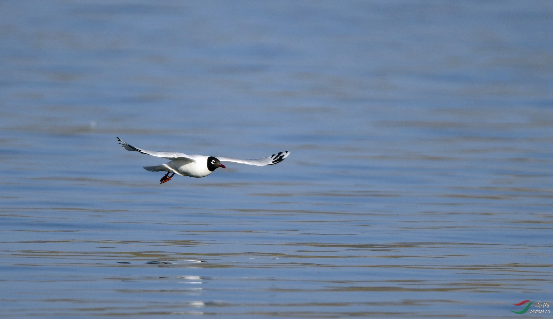 ��Ÿ �γ��ط�ǹ����ˮ�� (3).JPG