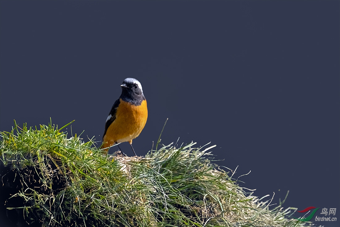 DSCF5999.jpg