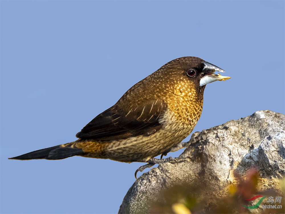 DSCF5123.jpg