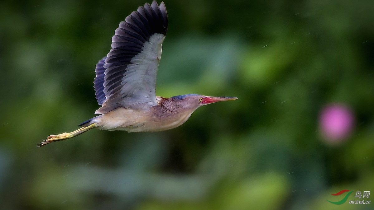 _DSC9474 - ����.JPG