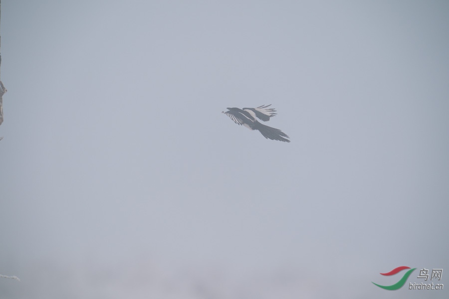 DSC00735.jpg