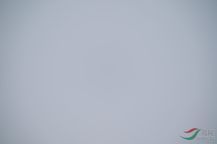 DSC00746.jpg