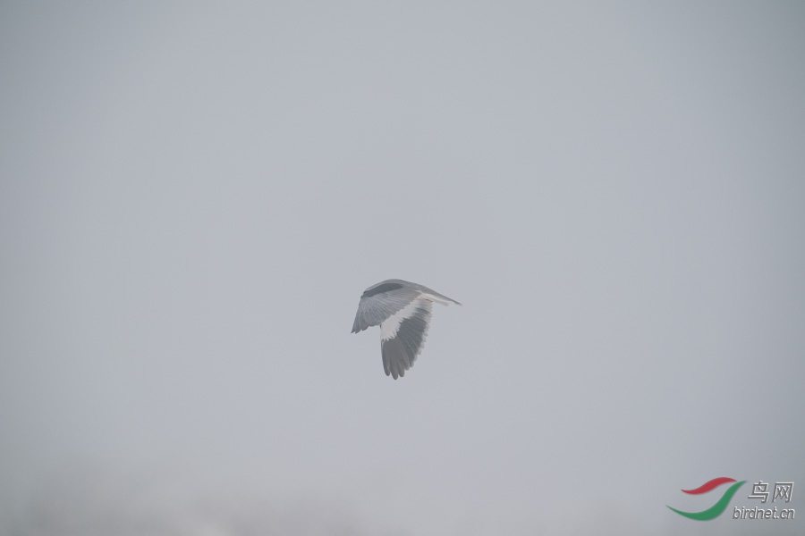 DSC00800.jpg