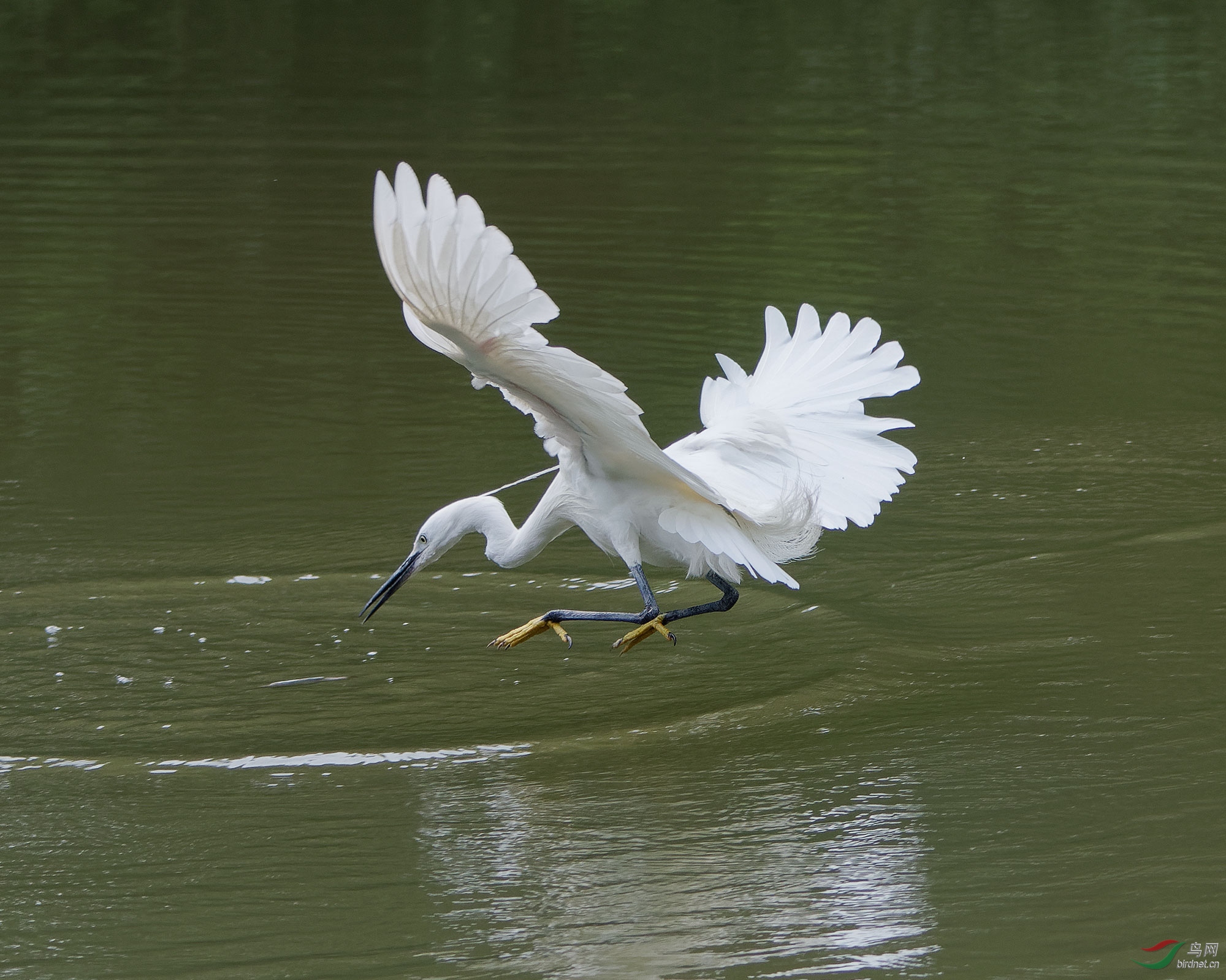 DSC_3759.jpg