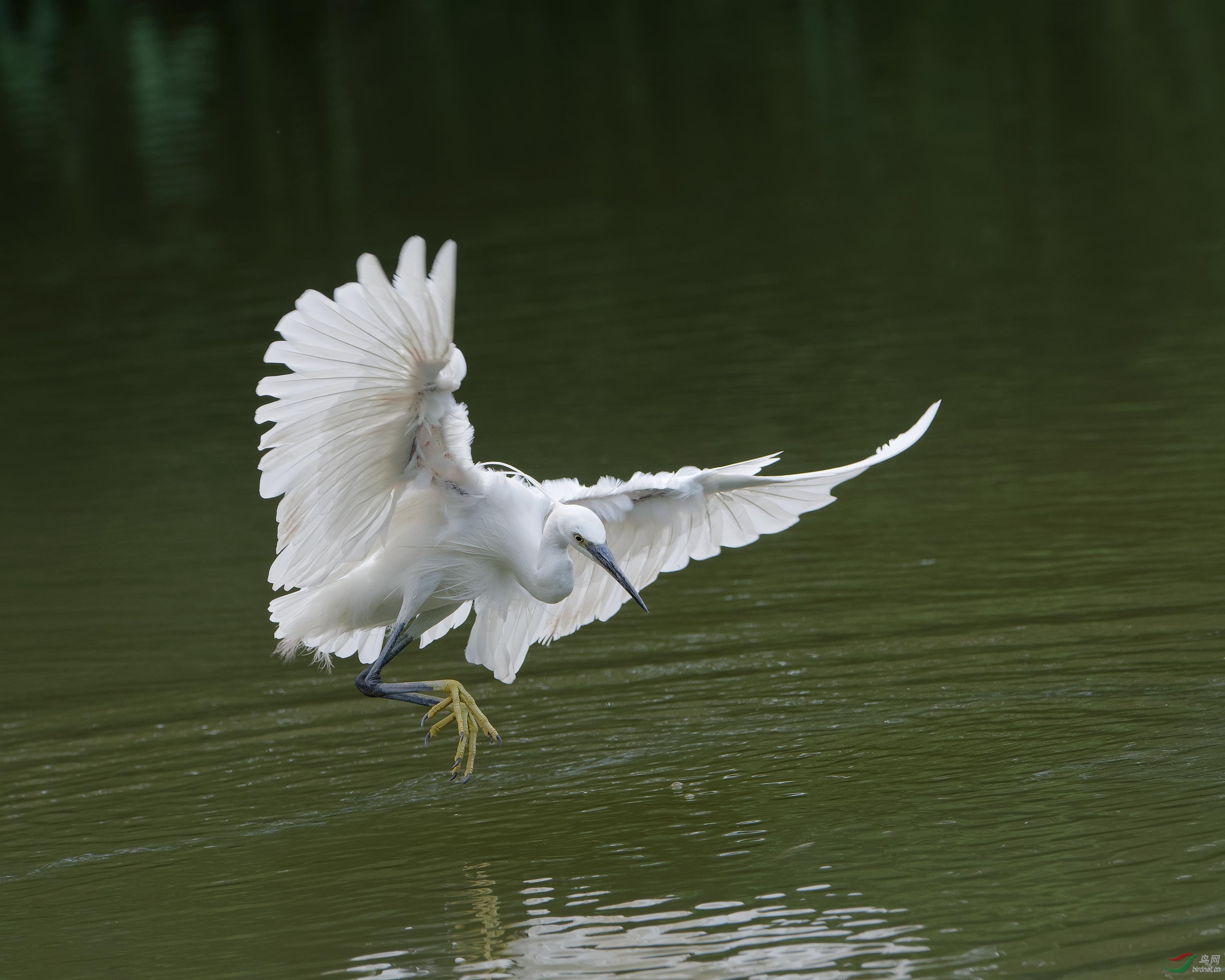DSC_3863.jpg