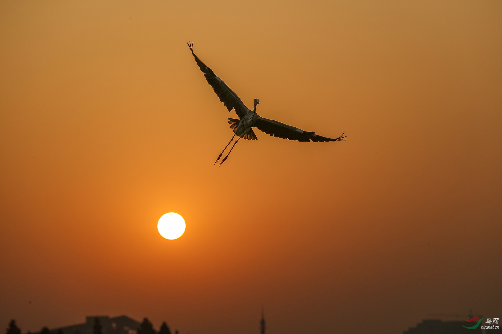 ���أ�����