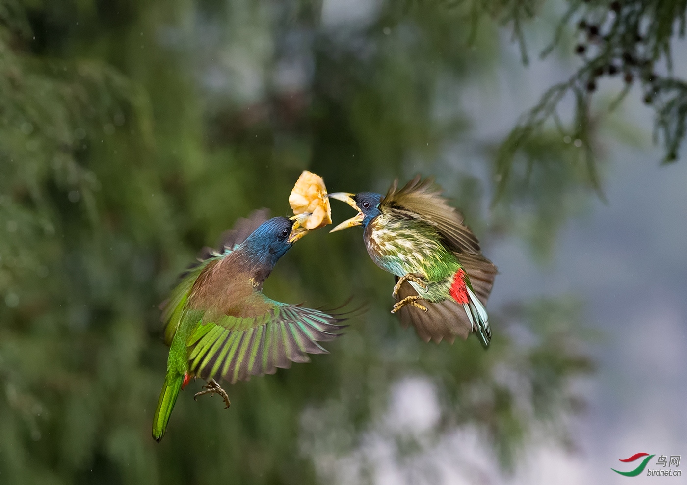 �������� ��ʦ������������ �ϰ���.jpg