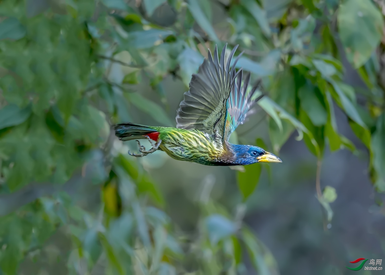 �ɣ������޽�303 ��ʦ����������ʡ ��ɽ��  .jpg