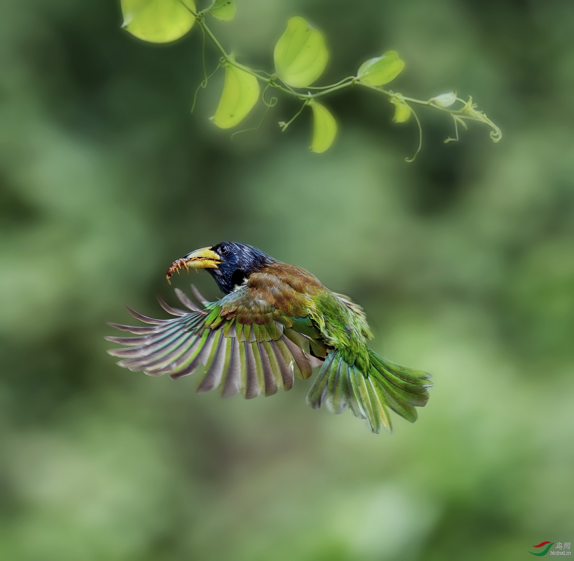 �ɣ���� ��ʦ�����ڹ���׳��������������.jpg