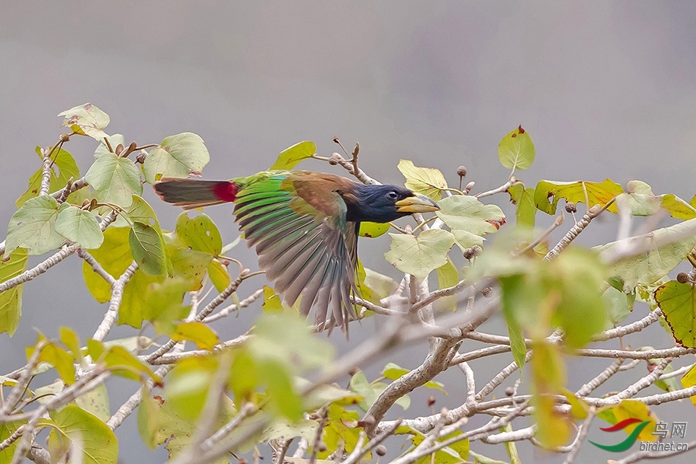 �ɣ�ɵ��ͷ-�Ÿ��� ��ʦ����������ʡ�º���徰����������.jpg