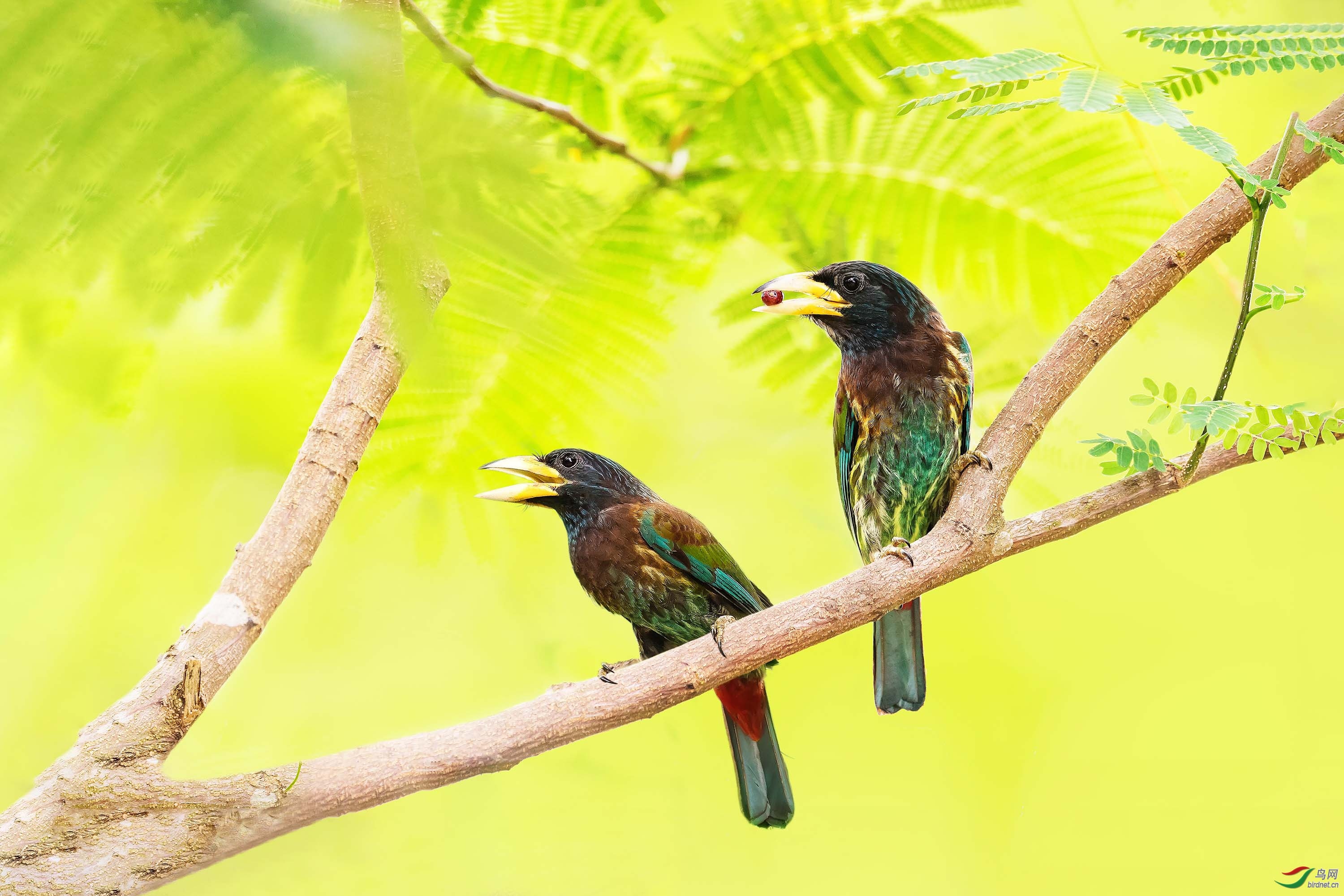 ���� ��ʦ�����ڹ㶫ʡ�����У���500.jpg