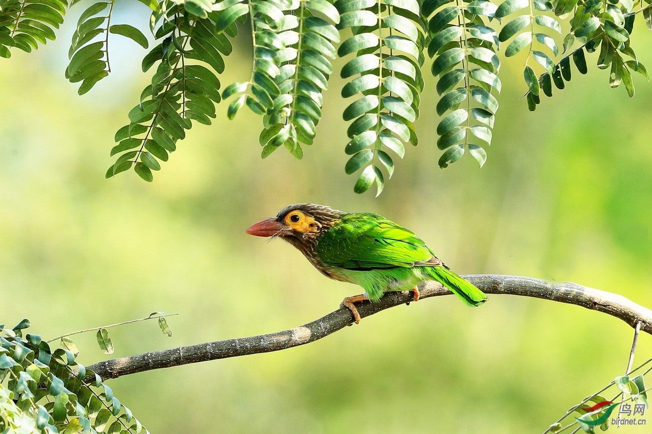 ꖹ� ��ʦ����.jpg