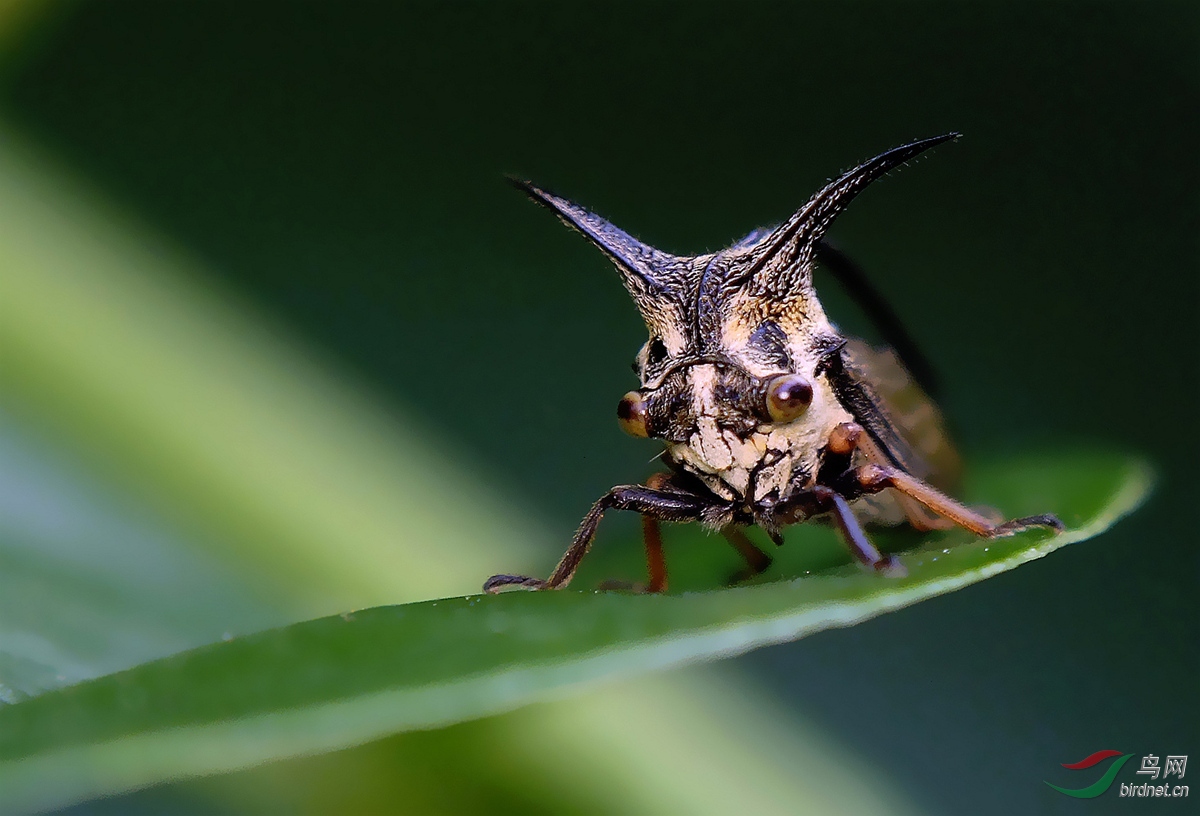 DSCF9941 - ���� - ����.JPG