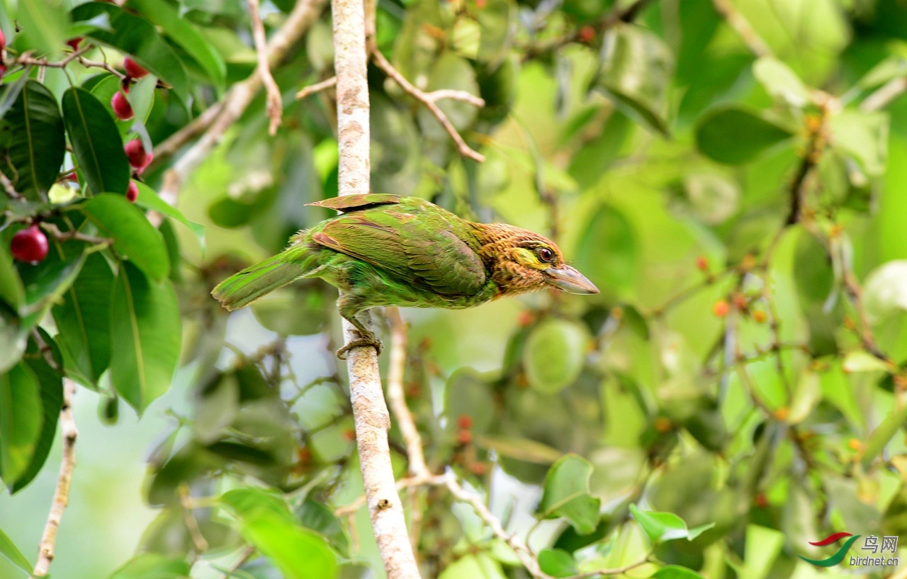 ���ɶ� ��ʦ����.jpg