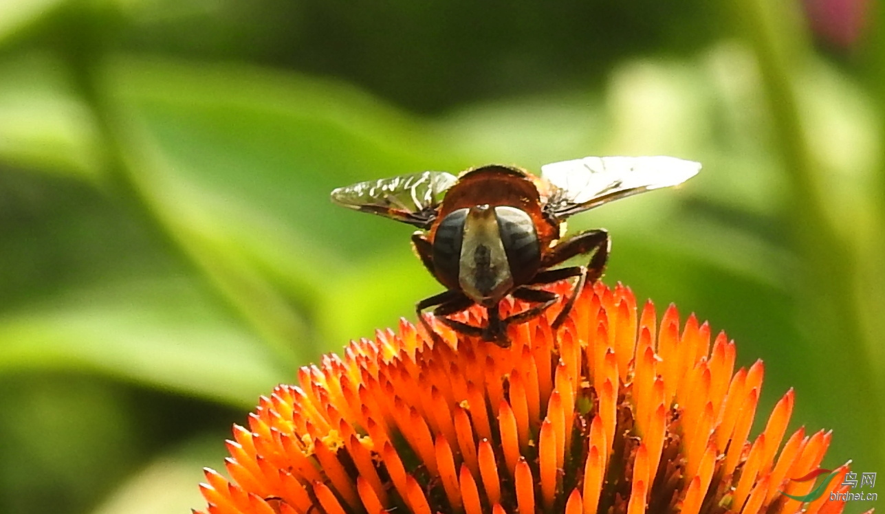 DSCN5116.JPG