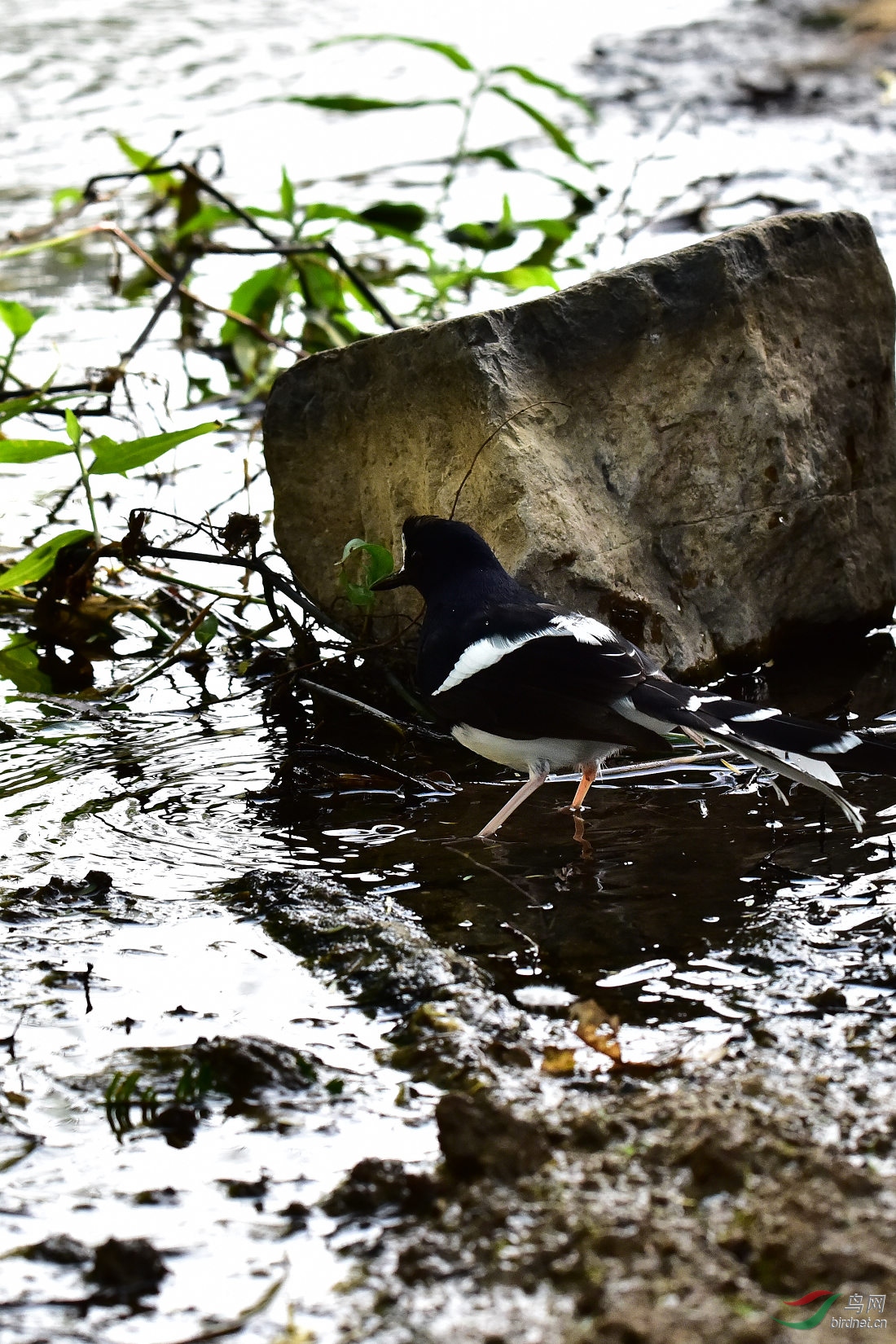 DSC_0435.JPG