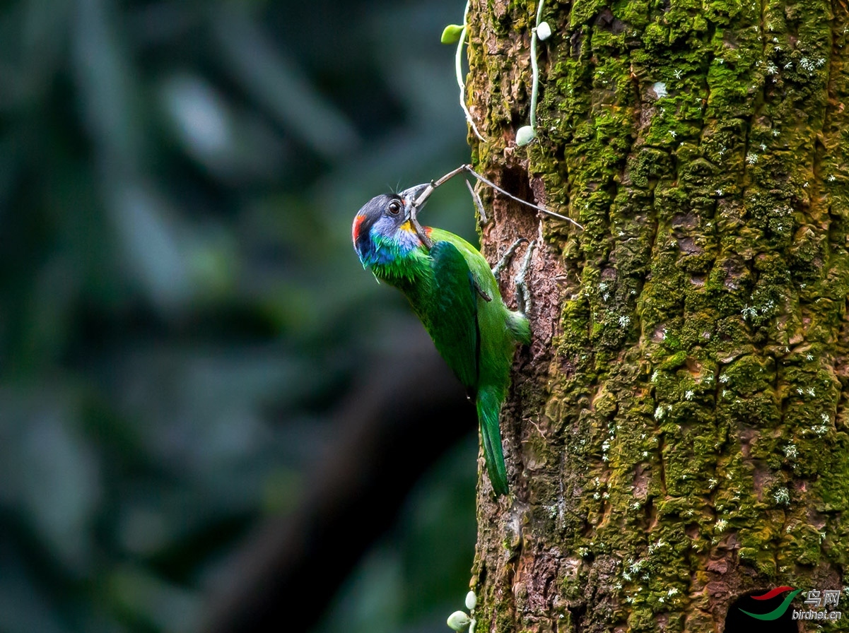 �˳����� ��ʦ����.jpg