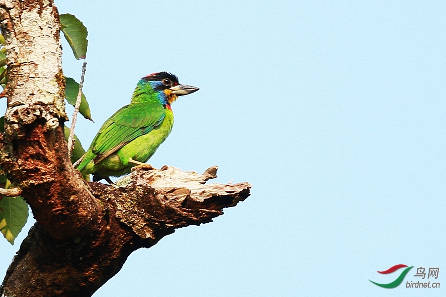 ҰȤ ��ʦ����.jpg