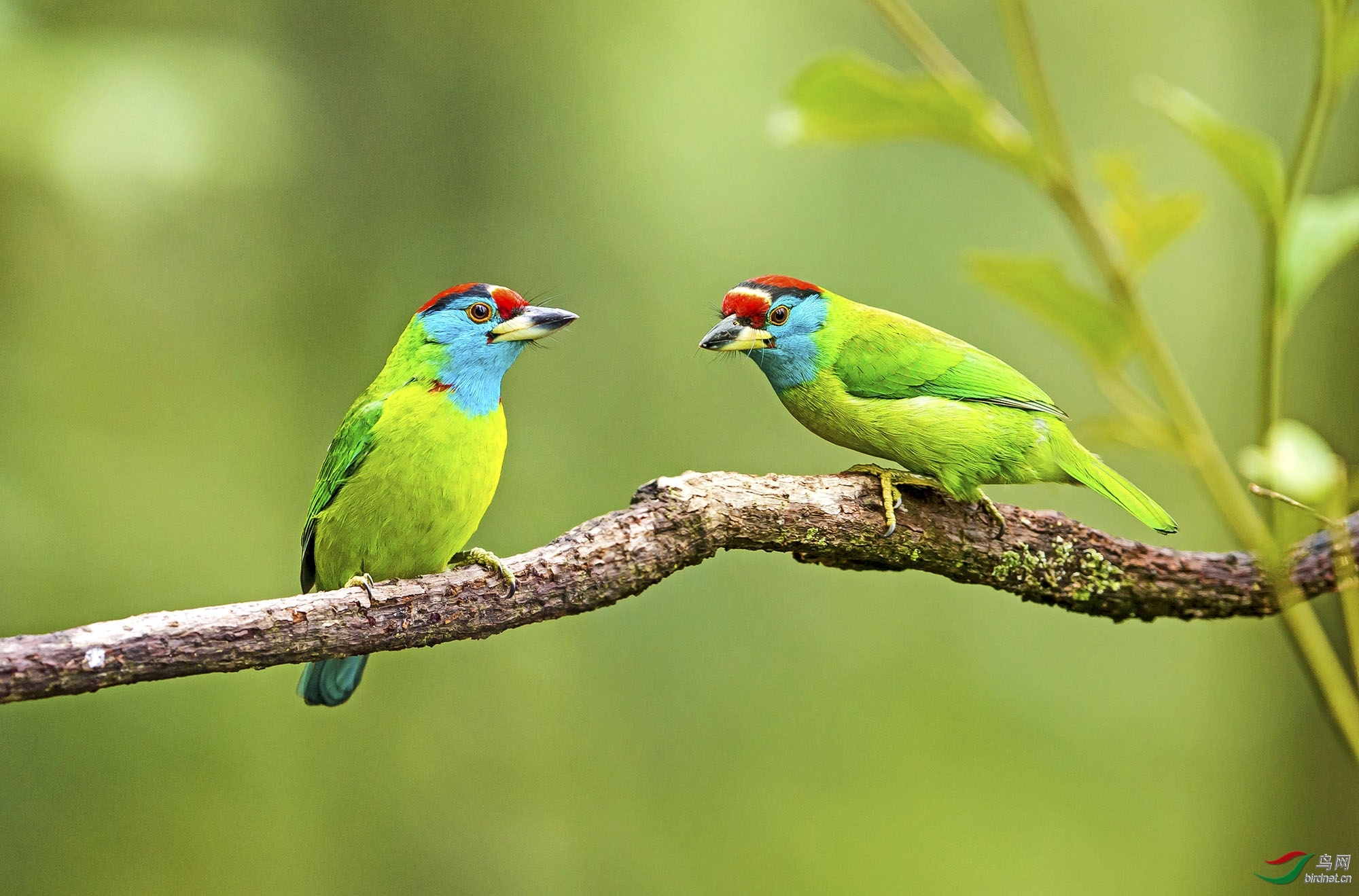 ���� ��ʦ����.jpg