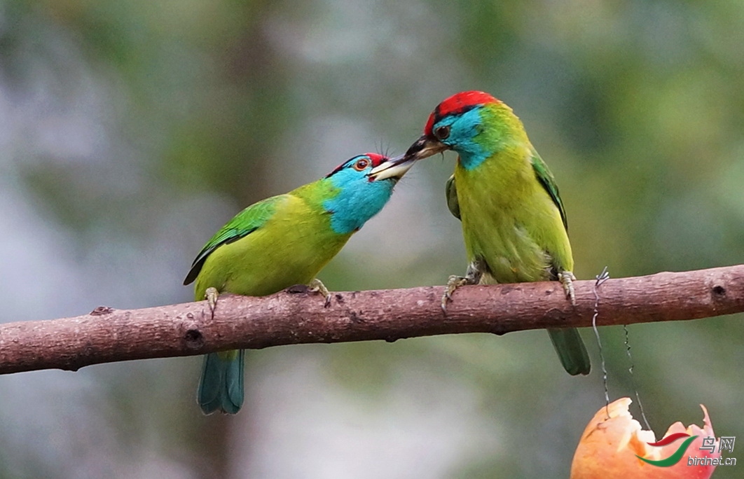 �Ϻӿ���ʦ����������ʡ ��ɽ�� â�����������.jpg