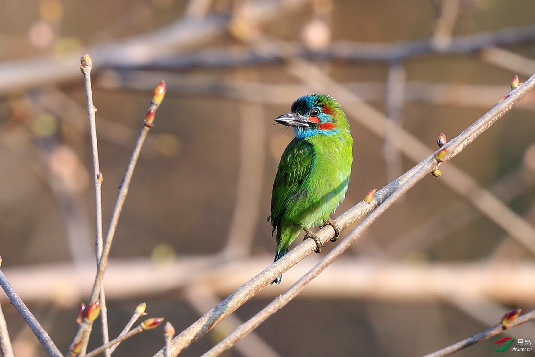 ����׽Ӱ ��ʦ����������ʡ�º���徰����������.jpg