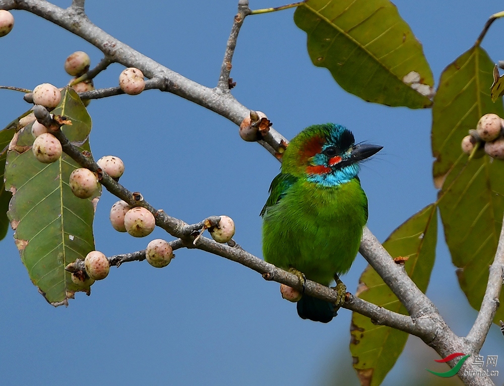 ����ϸ�� ��ʦ����.jpg