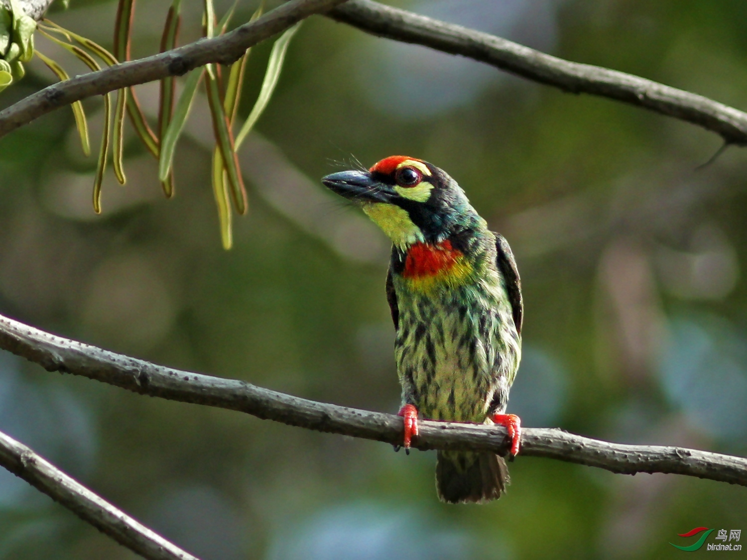 �������� ��ʦ�������¼���.jpg