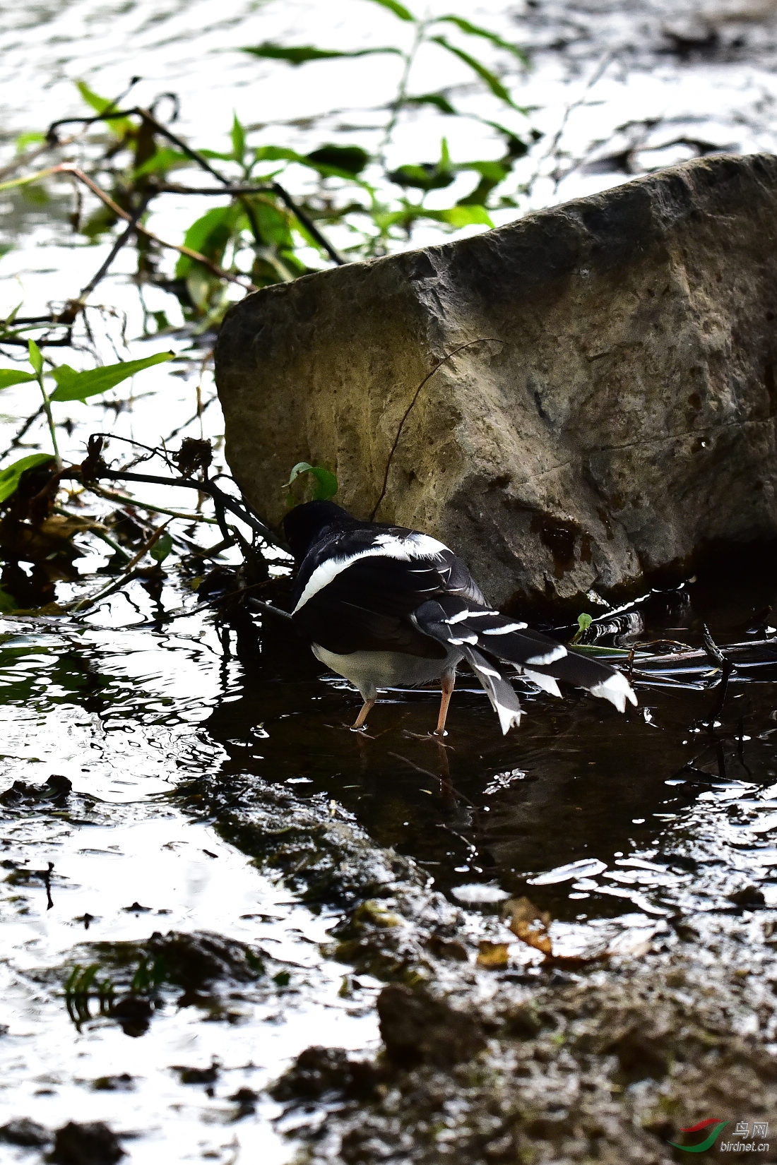 DSC_0440.JPG