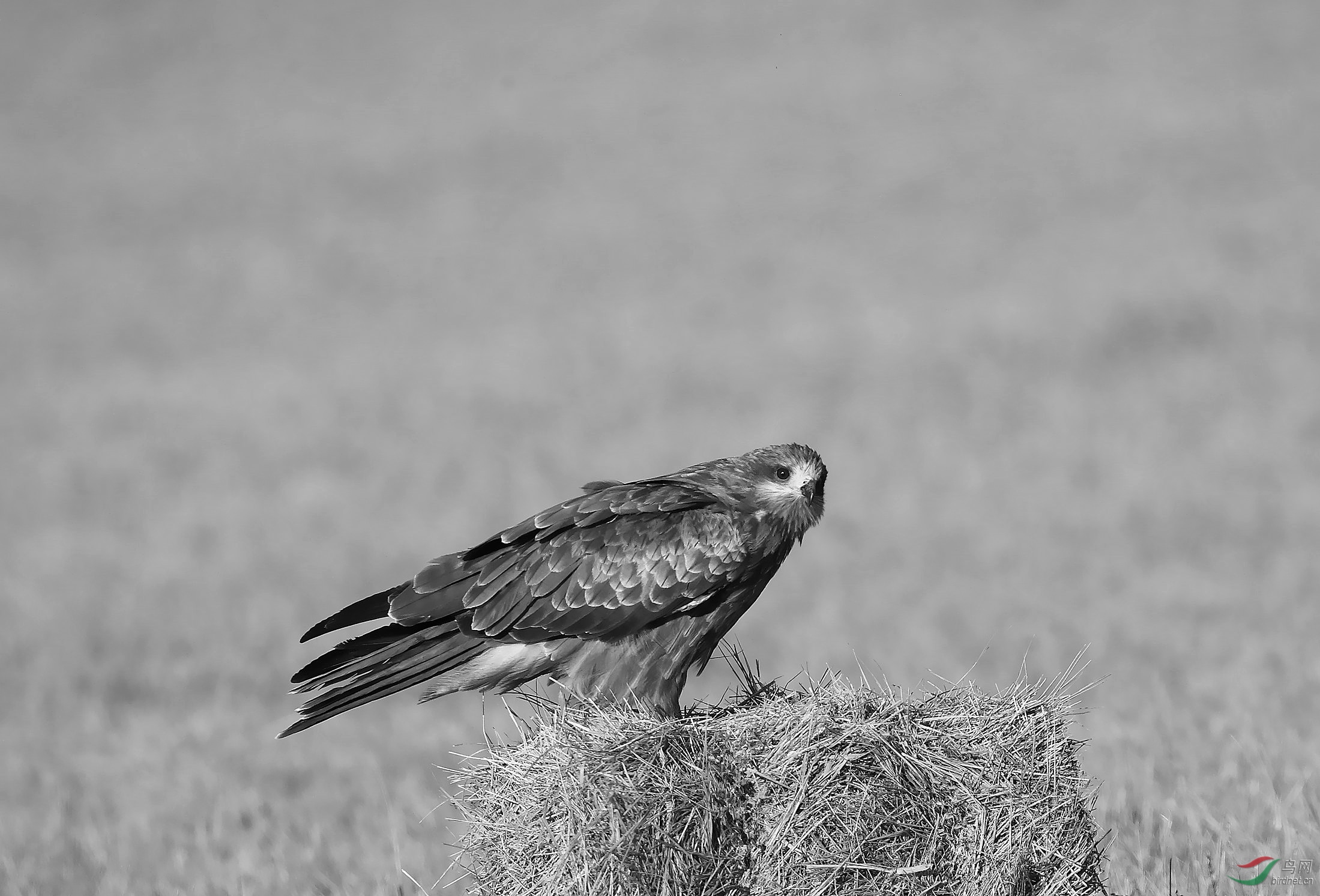 AM6Y2409_����_����.jpg